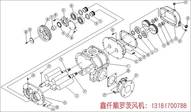 三葉羅茨鼓風(fēng)機安裝示意圖