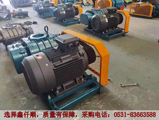 高壓羅茨鼓風(fēng)機 發(fā)貨廣西高壓羅茨鼓風(fēng)機XQSSR15030KW6臺(圖2)